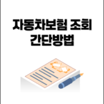 자동차보험 조회