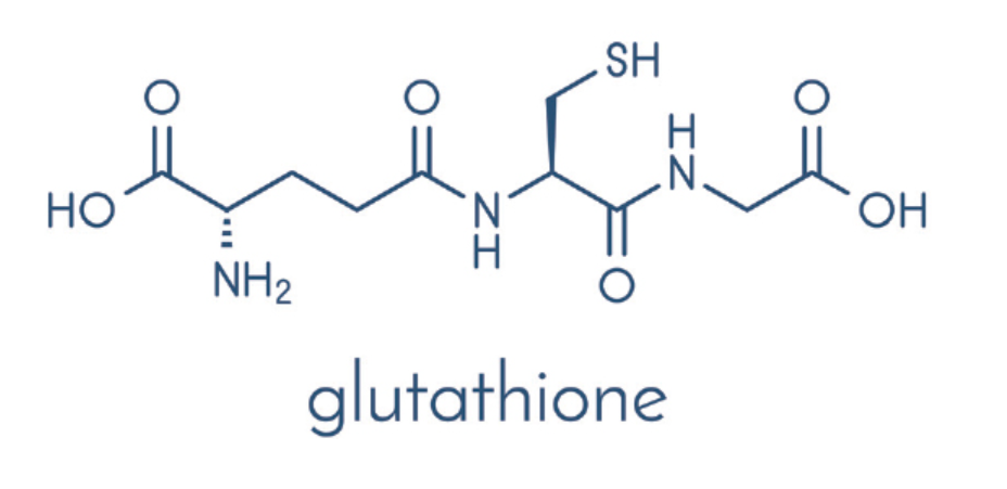 글루타치온-구조